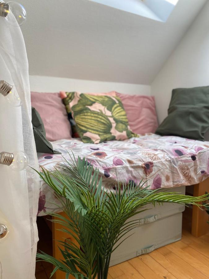 הוילה נקסקוב Kongenstofte House מראה חיצוני תמונה
